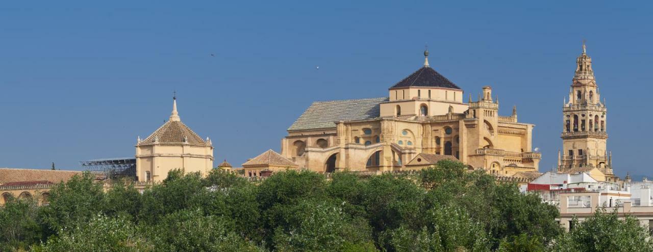 Casa Luz Cordoba Lägenhet Exteriör bild